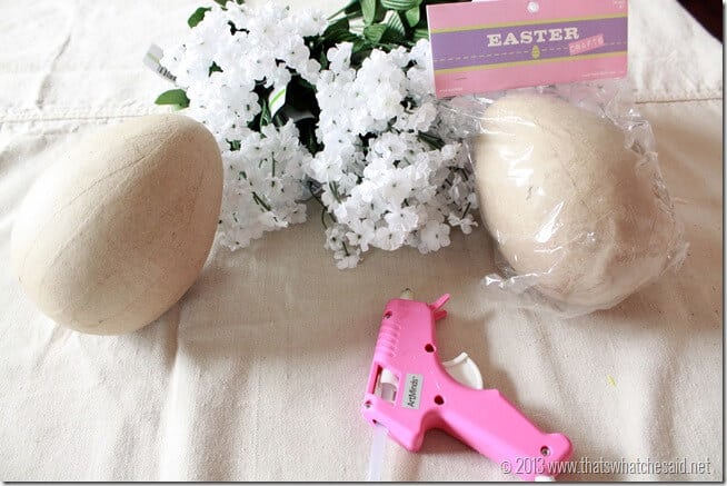 Blooming Egg Supplies Blooming Egg Supplies